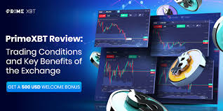 Understanding PrimeXBT Forex Trading Fees 9 Understanding PrimeXBT Forex Trading Fees 9